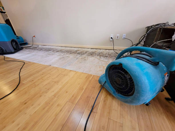 Professional Burst Pipe Water Damage technician working in Snoqualmie, WA